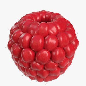 raspberry ready 3D model