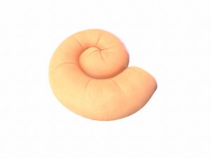 3D model ammonite animal