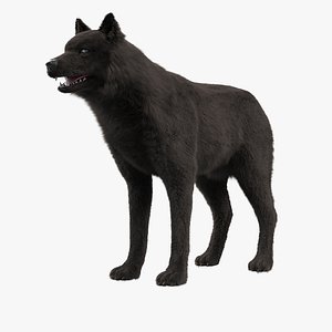 3d model wolf black