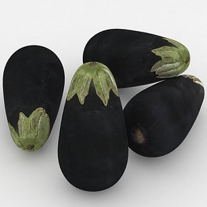 Vegetable Aubergine Eggplant