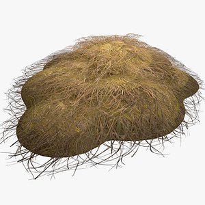 Haystack and Straw on Earth