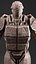 Versiones del personaje WarForged 2