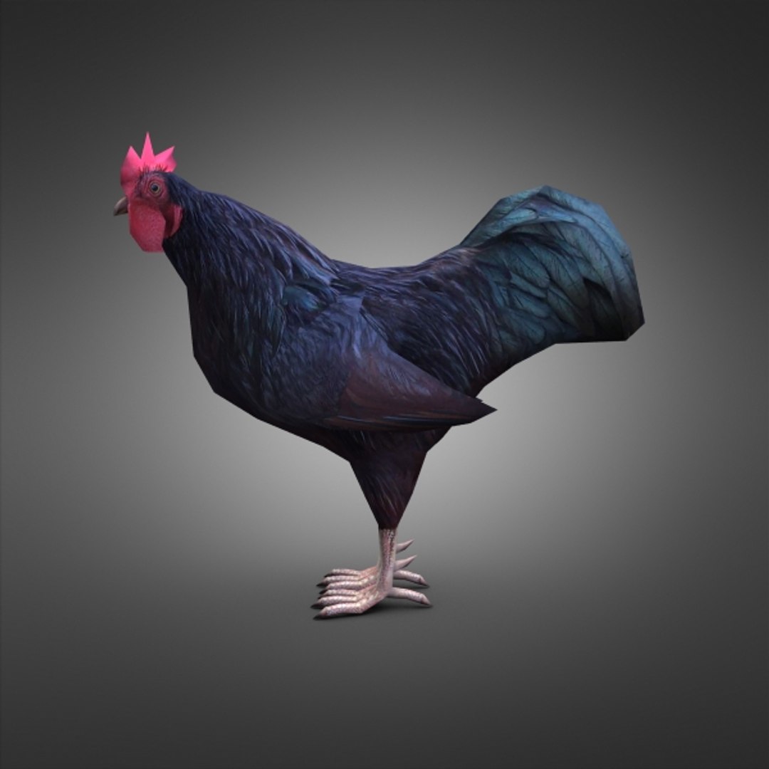 3d model ready games https://p.turbosquid.com/ts-thumb/zJ/lpRAte/23y3mNFK/3drooster03/jpg/1327861681/1920x1080/fit_q87/9d500d692d9af2917a6c3e4261a422cb3c801e4e/3drooster03.jpg