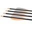 Arrow Set
