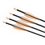 Arrow Set