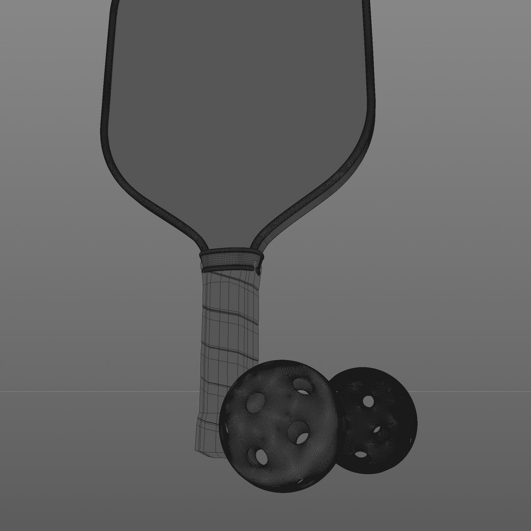Pickleball Set Paddle Balls 3D Model TurboSquid 2151490