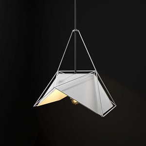 Wire framed Ceiling Light