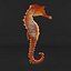sea horse 3ds