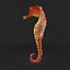 sea horse 3ds