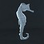 sea horse 3ds