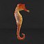 sea horse 3ds