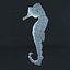 sea horse 3ds