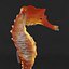 sea horse 3ds