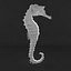 sea horse 3ds