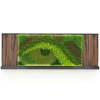 Greenwall vertical garden V02