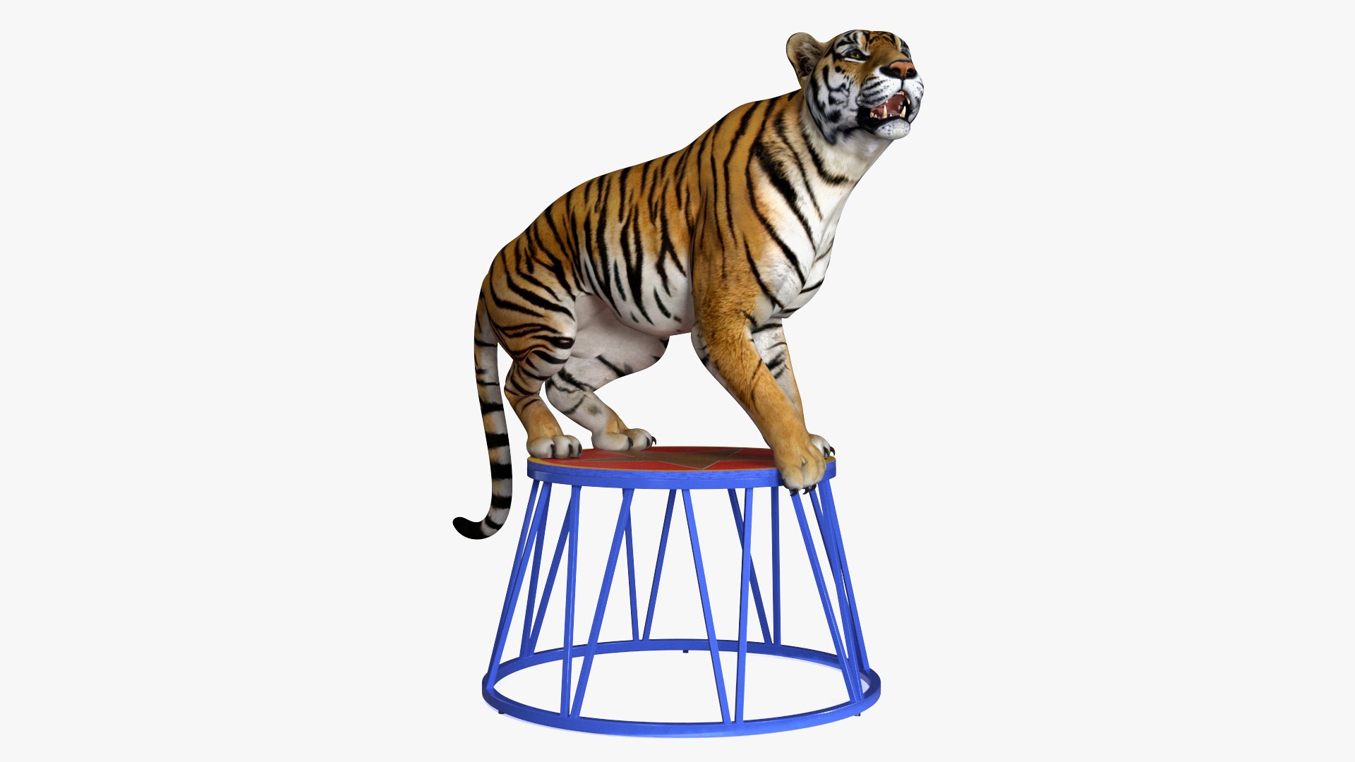 Tiger on a Circus Stand 3D model preview