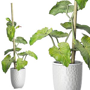 3D model potted plant 83
