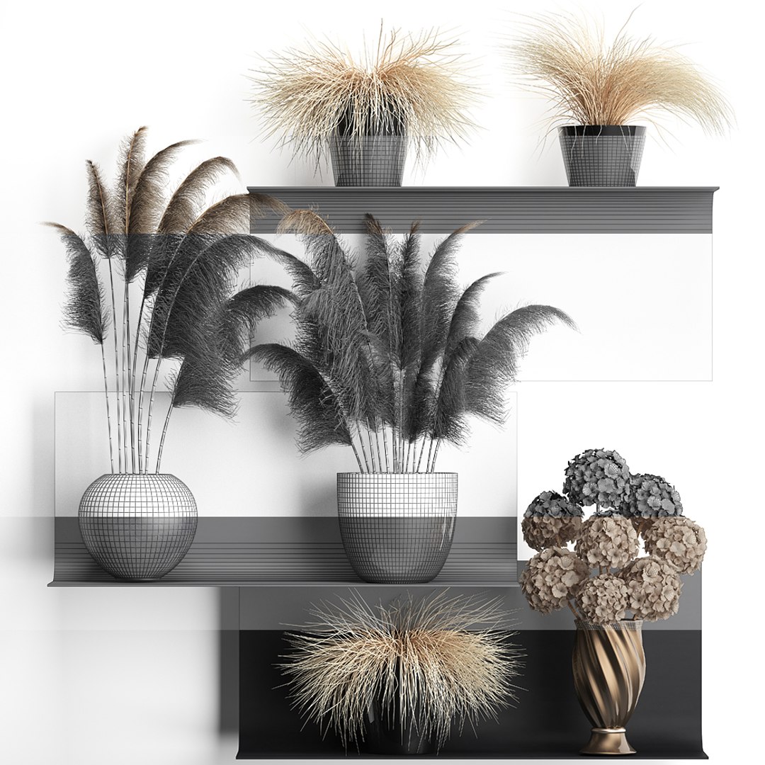 dried flowers vases 3D model https://p.turbosquid.com/ts-thumb/zK/LvYgtF/8yCzw2TS/wallplant21810201907/jpg/1571751250/1920x1080/fit_q87/18ddcb50ea7df4a996333398c0ae9611a06a9646/wallplant21810201907.jpg