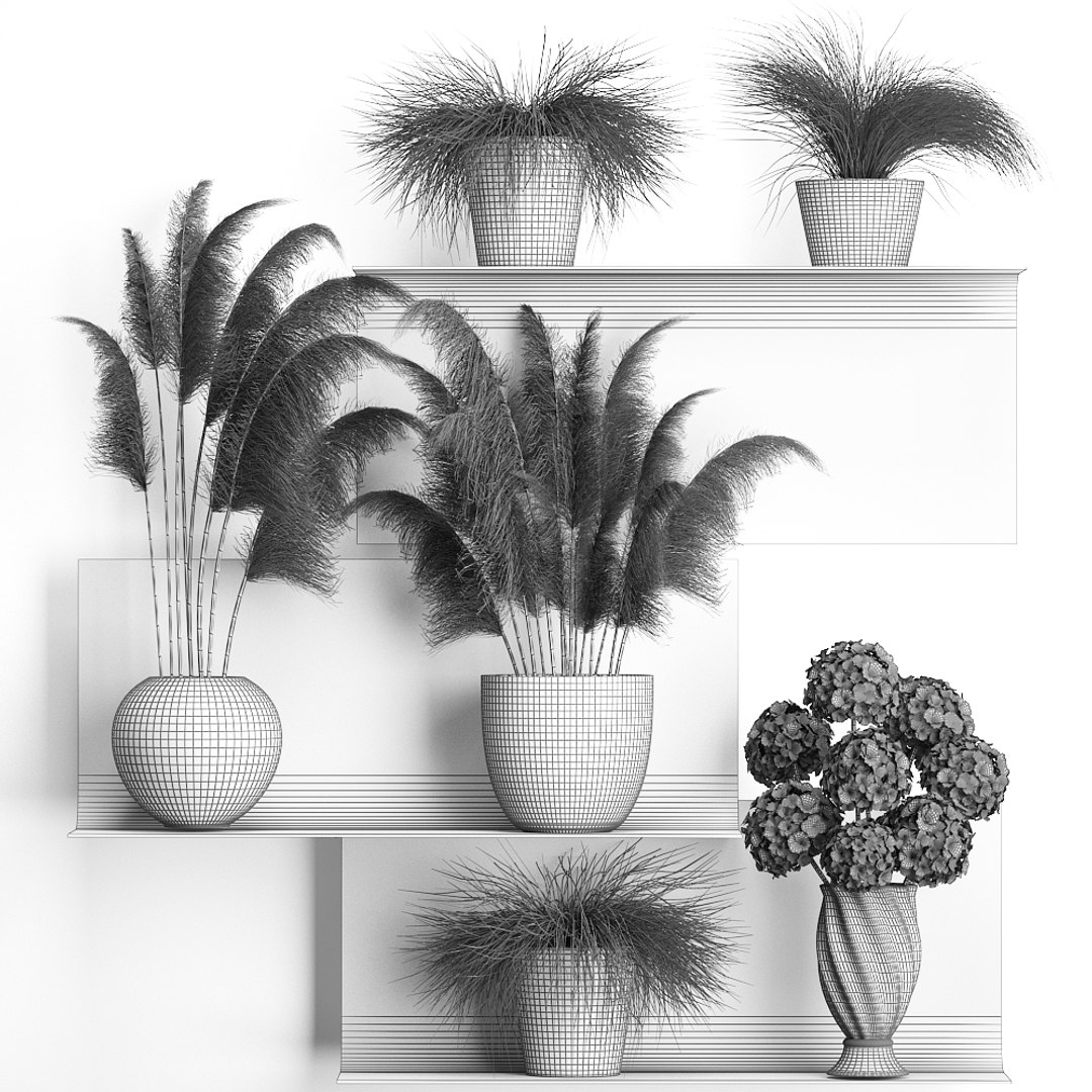 dried flowers vases 3D model https://p.turbosquid.com/ts-thumb/zK/LvYgtF/RLCYwogN/wallplant21810201909/jpg/1571751251/1920x1080/fit_q87/931f88f6c9cf3ee3e259688e20e84917d864d9c0/wallplant21810201909.jpg