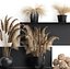 花瓶のドライフラワーのコレクション