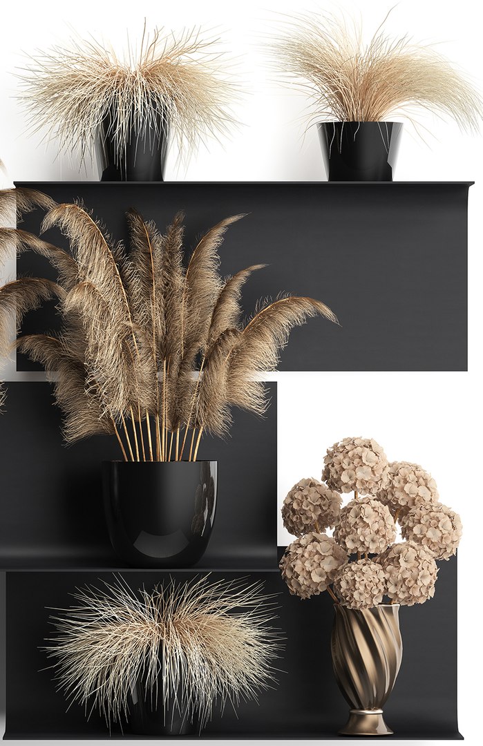 dried flowers vases 3D model https://p.turbosquid.com/ts-thumb/zK/LvYgtF/sdxiDt5N/wallplant21810201904/jpg/1571751250/1920x1080/fit_q87/a9c88461c7da4aadd68251088b8c40ff27e4902b/wallplant21810201904.jpg
