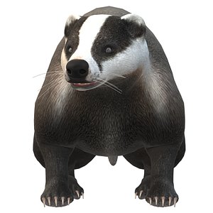 Badger