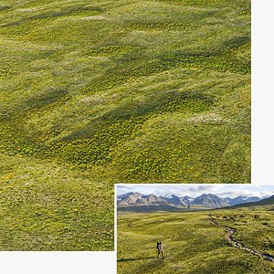 Seamless Grassland Area PBR Material - 15K - 8K - 4K - 2K