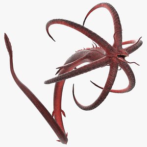 Alien Aquatic Predator with Elongated Limbs Red Rigged model