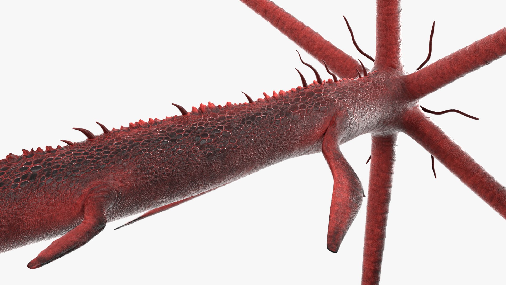 Alien Aquatic Predator with Elongated Limbs Red Rigged model https://p.turbosquid.com/ts-thumb/zK/fq1NnL/2u/alien_aquatic_predator_with_elongated_limbs_red_rigged_008/jpg/1759089541/1920x1080/fit_q87/6925481a29840970b2fb26d66253e64964372aa5/alien_aquatic_predator_with_elongated_limbs_red_rigged_008.jpg