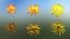 Pack d'Atouts de la Nature