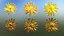 Pack d'Atouts de la Nature