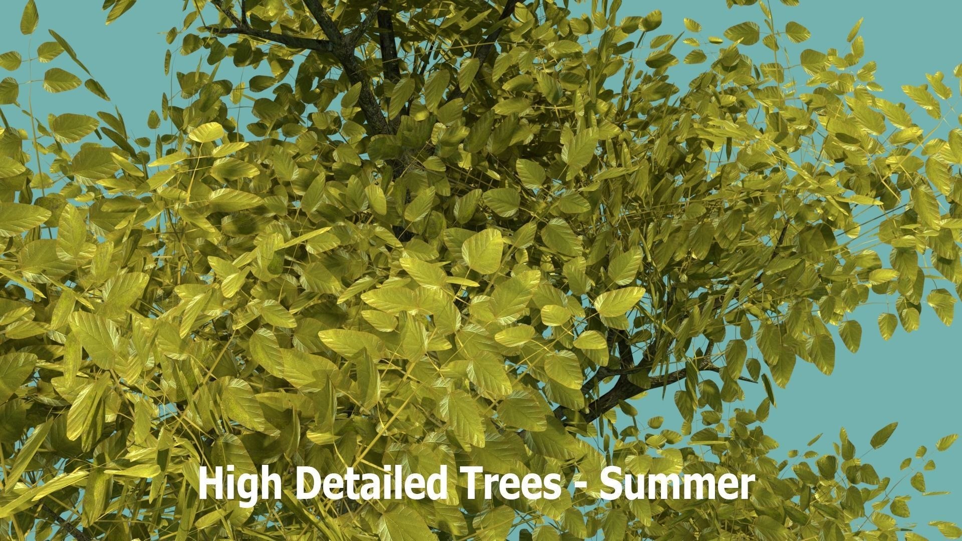 3D Nature Assets Pack https://p.turbosquid.com/ts-thumb/zK/ktcsvV/VI/32/jpg/1635444391/1920x1080/fit_q87/1477568d28927f1a80d2f83b2ecca2e6ad1ea210/32.jpg