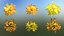Pack d'Atouts de la Nature