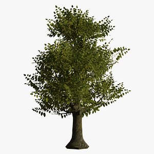 무료 나무 3D 모델 다운로드 용 | Turbosquid