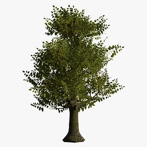 Nature Assets Pack