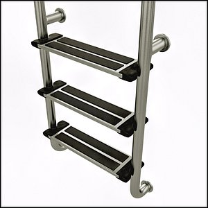 Swimming Pool Ladder Steps