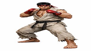 Realistic Martial Arts Fighter Character 3D model