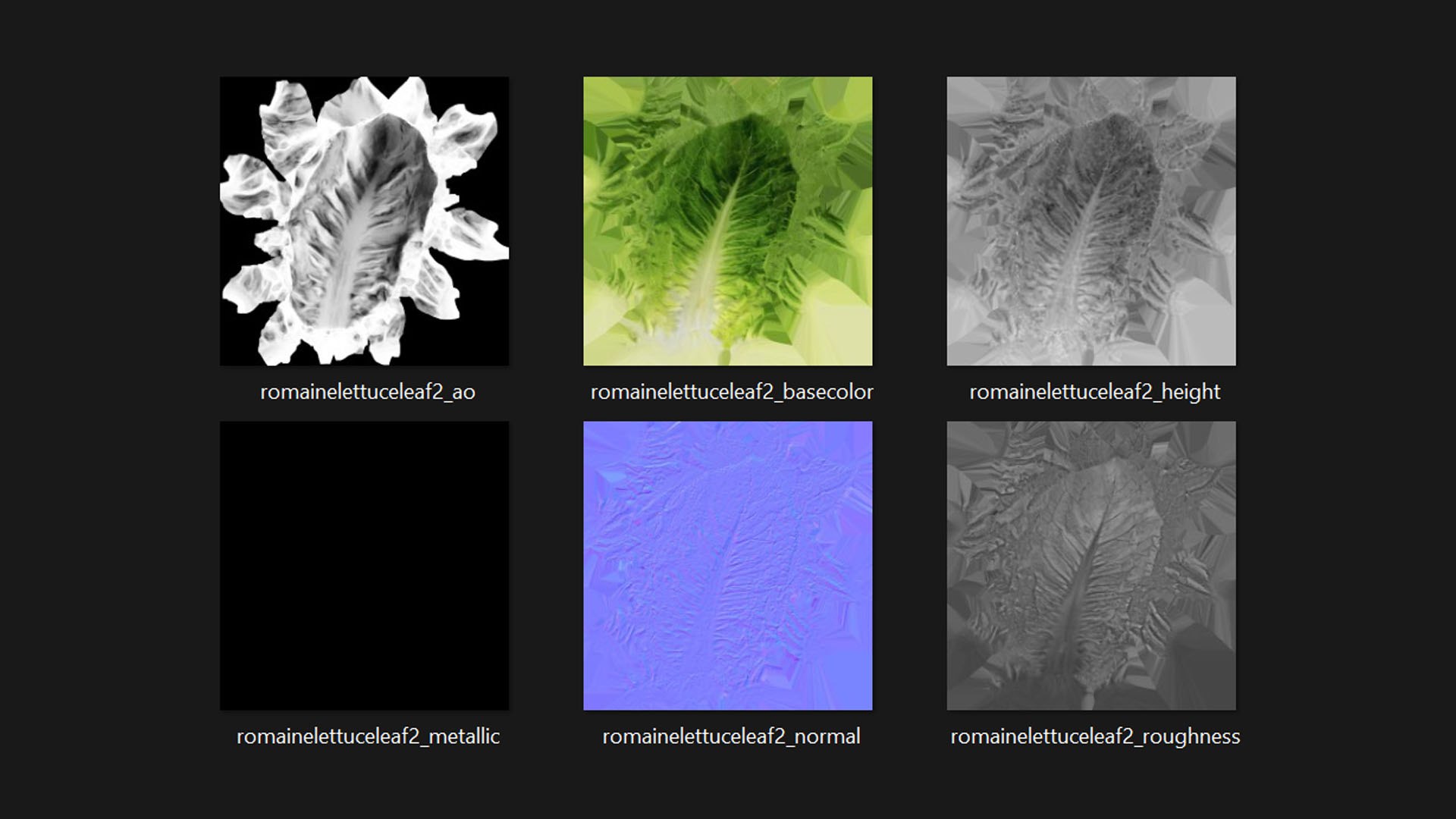 3D model Romaine Lettuce Leaf 02 https://p.turbosquid.com/ts-thumb/zL/FVqus1/El/romainelettuceleaf2_d0005/jpg/1744914722/1920x1080/fit_q87/3a4375ee35ca20c795355005ed2fadf2cce43776/romainelettuceleaf2_d0005.jpg