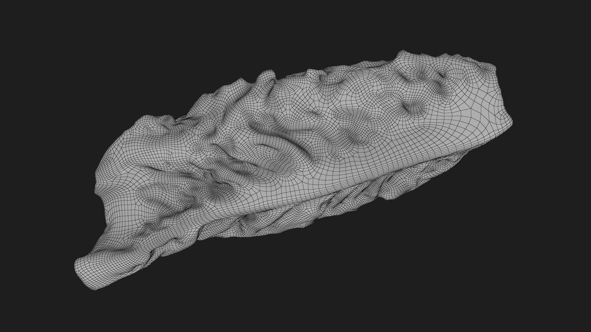 3D model Romaine Lettuce Leaf 02 https://p.turbosquid.com/ts-thumb/zL/FVqus1/H8/romainelettuceleaf2_g0004/jpg/1744914724/1920x1080/fit_q87/c2dc2622de92140cd45632c217ff4e20dd7d7c4e/romainelettuceleaf2_g0004.jpg