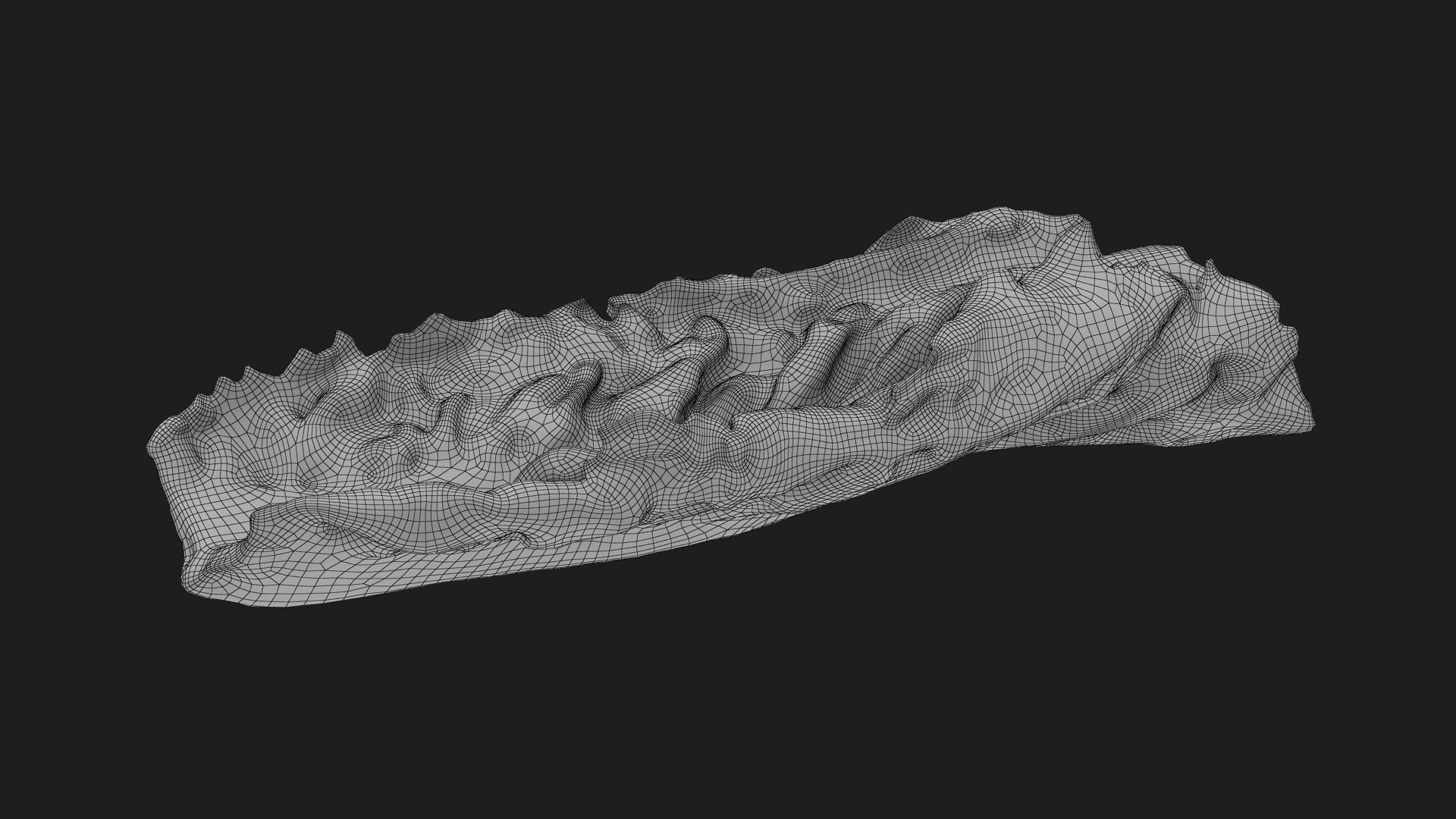 3D model Romaine Lettuce Leaf 02 https://p.turbosquid.com/ts-thumb/zL/FVqus1/LR/romainelettuceleaf2_g0003/jpg/1744914724/1920x1080/fit_q87/951a378fd6727405a44b0b9e88e05c049c721fa5/romainelettuceleaf2_g0003.jpg