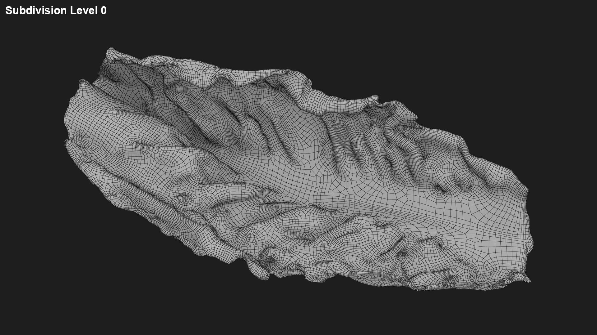 3D model Romaine Lettuce Leaf 02 https://p.turbosquid.com/ts-thumb/zL/FVqus1/nP/romainelettuceleaf2_g0001/jpg/1744914722/1920x1080/fit_q87/0db59e2ff1b2c2a9d8434c7b985a27786c4d3c24/romainelettuceleaf2_g0001.jpg