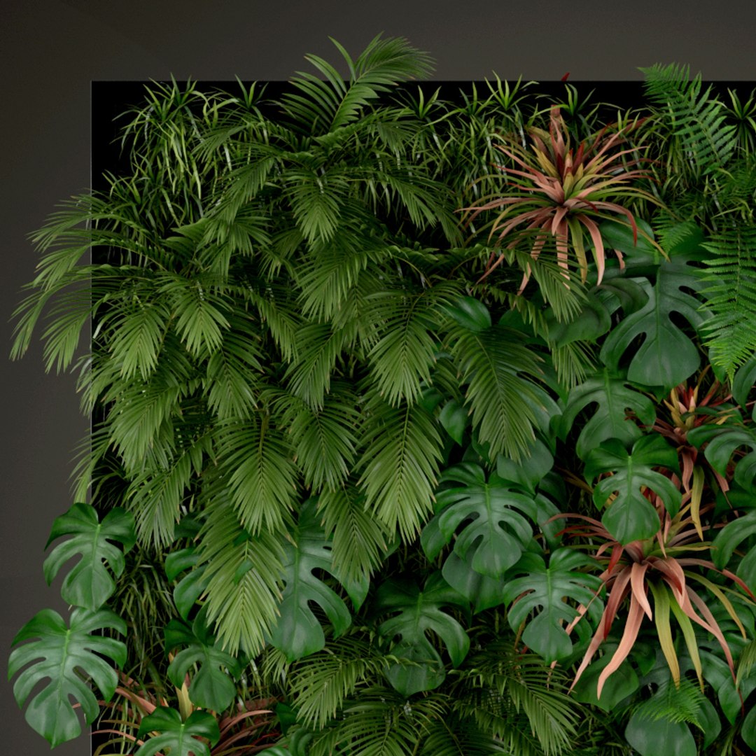 plants 200 3D model https://p.turbosquid.com/ts-thumb/zL/IHk8Wq/15hK6idc/plant_200_04/jpg/1573585486/1920x1080/fit_q87/7374f2c820e144721f0bccaf29bcfe6b4194b06e/plant_200_04.jpg