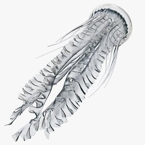 Jellyfish Animated