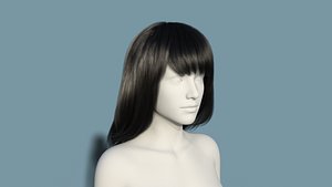 Realistic Female Polygon Long Black Hair 49