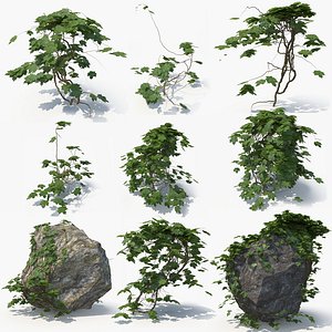 3D ivy plant rock 02 model