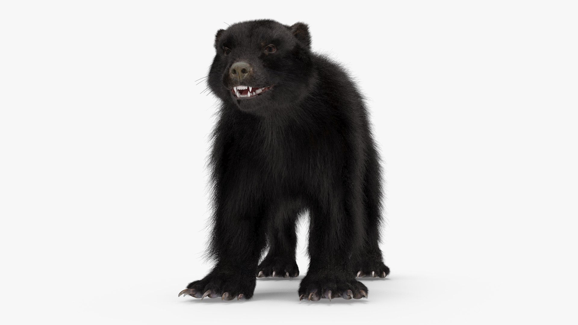 3D Wolverine Dark Color Fur https://p.turbosquid.com/ts-thumb/zL/ZudoIy/9u/wolverinedarkcolorfur3dsmodel011/jpg/1695188238/1920x1080/fit_q87/1ad2d1b0ad9f7a4d6e6f8ad1ae58a39538531e31/wolverinedarkcolorfur3dsmodel011.jpg