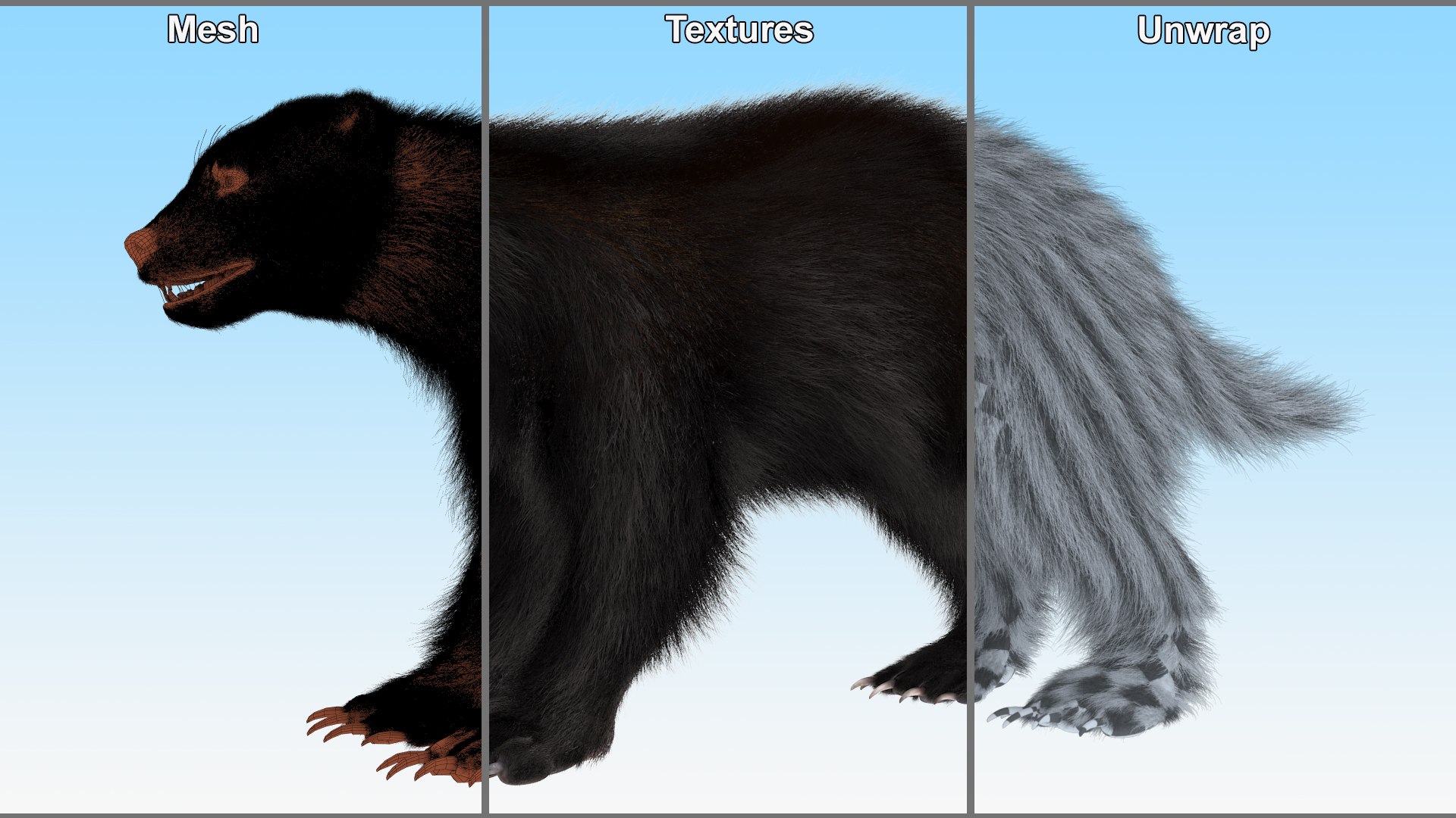 3D Wolverine Dark Color Fur - TurboSquid 2127770