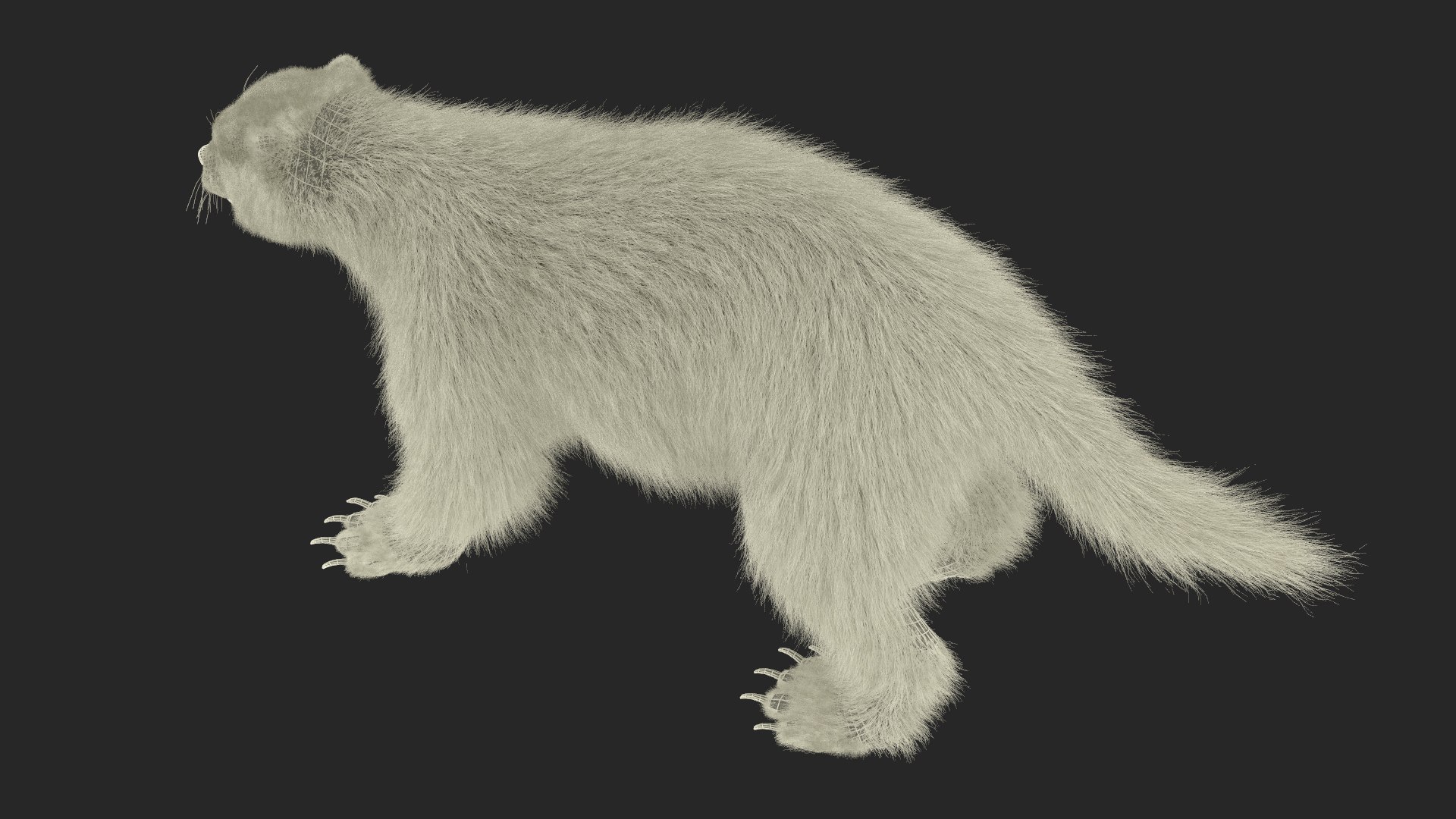 3D Wolverine Dark Color Fur - TurboSquid 2127770