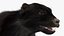 Wolverine Dark Color Fur