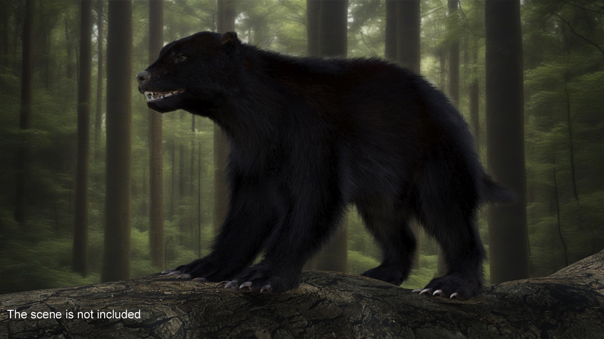 3D Wolverine Dark Color Fur - TurboSquid 2127770